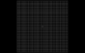 Screenshot of ForeSight VA Displaying an Amsler Grid for a screen that is 13.13 inches x 8.15 inches and 1440 x 900 pixel resolution in a ~20foot room.