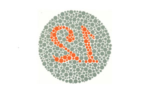 Screenshot of ForeSight VA Displaying a slide from Ishihara's color blindness plates for a screen that is 13.13 inches x 8.15 inches and 1440 x 900 pixel resolution in a ~20foot room.